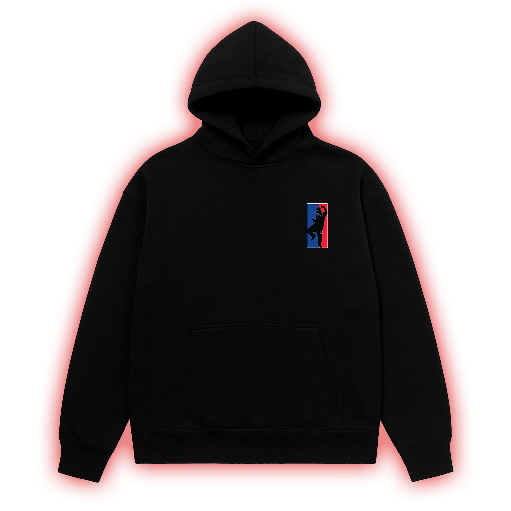 SHELOVES ANTAGONIST TOUR HOODIE